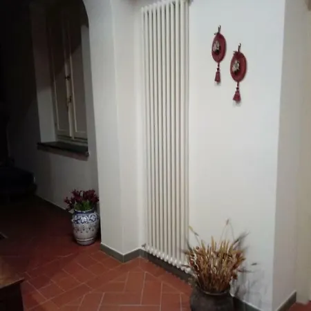 Anfiteatro House Romantica *